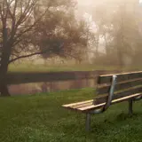 benk i en park