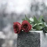 to roser på en gravsten
